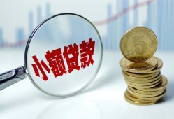 东莞18哪里可以小额贷款-东莞18哪里有民间借贷-东莞18民间短期私借借款